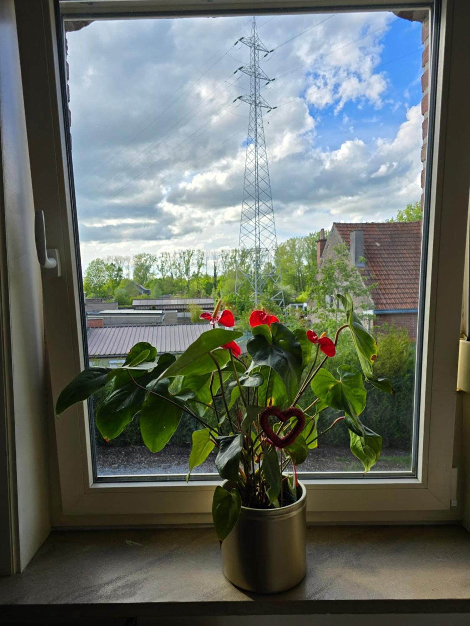 Le Gite Des Ambres Denderleeuw Extérieur photo