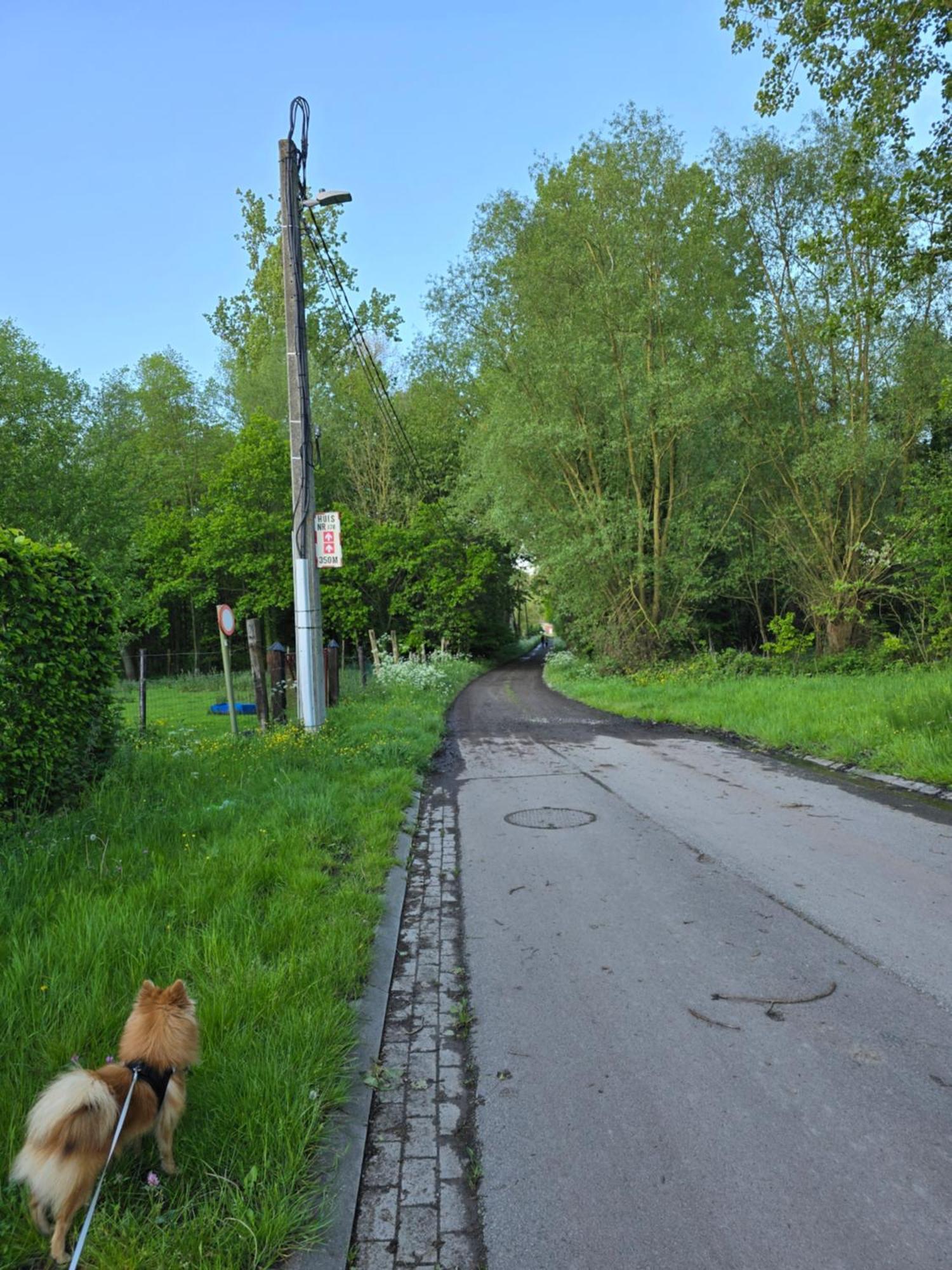 Le Gite Des Ambres Denderleeuw Extérieur photo